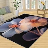 QDJKBL 180 x 270 cm Rug Vintage, transparenter Blumenteppich, schwarzer Hintergrund, einfacher Innenteppich, moderner Teppich, Bequeme Füße, weiche Haptik, für Café, Büro, Fußmatten, V