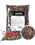 MINOTAUR Spices | Pfeffer bunt ganz | 2 x 500g (1 Kg) | Bunter Pfeffer aus schwarzen, weißen, grünen Pfefferkörnern und Rosa Beeren