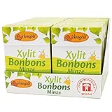 Birkengold Xylit Bonbons Minze zuckerfrei, 12er Pack | zahnpflegend | zuckerfrei | mit 100 % europäischem Xylit | natürliche Zutaten, 1305