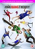 The Big Bang Theory - Season 11 [DVD] [UK Import]