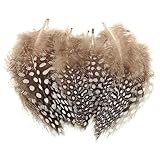 Bunte Federn 100 Stück Perlhuhn-Federn natürliche gesprenkelte Federn Handwerk zum Basteln für DIY Ohrring, Hochzeit, Traumfänger, Kopfschmuck
