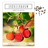 Erdbeerbaum Samen (Arbutus unedo) - Immergrüner Obstbaum mit exotischen Früchten und wunderschönen Blüten