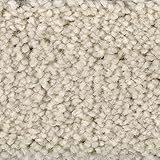 Teppichboden Auslegware creme weiß 400 cm und 500 cm breit ideal für Schlafzimmer und Kinderzimmer sehr weich Kräuselvelours Meterware mit Textilrücken (4 m x 4 m)