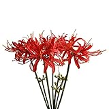 Qingriver Künstliche Spinnenlilie, 4 Stiele, 66,38 cm, Lycoris, Radiata für Haus und Garten, Dekoration, Rot
