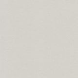 rasch Tapete 448610 aus der Kollektion Florentine II – Einfarbige Vliestapete in zartem Grau – 10,05m x 53cm (L x B)