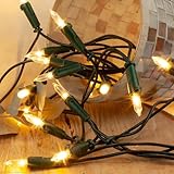 hellum Lichterkette innen, Pisello Lichterkette mit 20 LEDs warmweiß für Fenster innen 2,85m beleuchtet, Weihnachtsbaum grünes Kabel mit Stecker und 1,5m Zuleitung