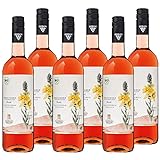 Amolterer Rosé Vulkanfelsen QbA trocken - Bio Rosé-Wein trocken, fruchtig frisch im Geschmack - Badischer Bio-Wein, Anbaugebiet Kaiserstuhl (6 x 0,75 l)