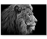 Paul Sinus Art Leinwandbilder | Bilder Leinwand 120x80cm Portrait Löwe schwarz/weiß