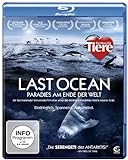 Last Ocean - Das Rossmeer - Paradies am Ende der Welt [Blu-ray]