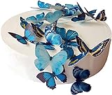 24 x Vorgeschnittene schöne blaue Schmetterlinge essbares Reispapier/Oblatenpapier Kuchendekoration, Dekoration für Cupcake Kuchen Dessert, für Geburtstag Party Hochzeit Babyparty (M)