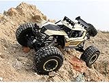 SUBECO Ferngesteuertes Auto 1/8 großes kletterndes RC-Auto, 4WD Off Road Monster Crawler RC-Auto elektrisches All-Terrain-Spielzeug Geschenk für Jungen-Mädchen-Spielzeug