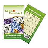 Steingarten-Stauden Winterharte Mischung Samen - Steingartensamen - Blumensamen - Saatgut für 100