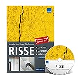 RISSE Ursachen - Diagnostik - Instandsetzung 2. aktualisierte Auflage 2017