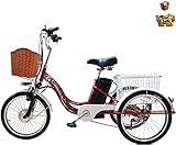 20 Zoll Erwachsene Elektro-Dreirad, 3-Rad-Fahrrad für Damen übergroßer Einkaufswagen mit Deckel 48V12AH abnehmbare Lithium-Batterie, maximale Belastung 330 lb (red)