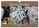 Welt der Flechten (Wandkalender 2023 DIN A4 quer), Calvendo Monatskalender