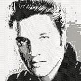 Elvis Presley - TRUE COLORS Edition - Mosaic Brick Art - Mosaik incl. 6028 LEGO Compatible Standard Plates - Flat / 150*150studs, 120*120cm, 47.25*47.25inch