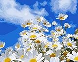 WAIGE Kreuzstich-Set für Erwachsene und Anfänger, mit schönen Blumen und Himmel, 11 Ct, vorgedrucktes Muster, Stoff, Stickerei, Handarbeit, Gobelinstickerei für Heimdekoration, 40,6 x 50,8 cm