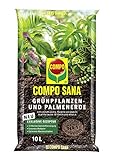 COMPO SANA Grünpflanzen- und Palmenerde mit 12 Wochen Dünger für alle Zimmer- und Balkonpflanzen sowie Palmen und Farne, Kultursubstrat, 10 Liter