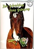 Touch Grußkarte lachendes Pferd, Geburtstagskarte mit Musik auf Berührung - Pferde