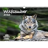 Wolfszauber DIN A3 Kalender für 2022 Wolf und Wölfe - Geschenkset Inhalt: 1x Kalender, 1x Weihnachts- und 1x Grußkarte (insgesamt 3 Teile)