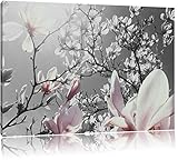 schöne Magnolie Blüten schwarz/weiß Format: 120x80 auf Leinwand, XXL riesige Bilder fertig gerahmt mit Keilrahmen, Kunstdruck auf Wandbild mit Rahmen, günstiger als Gemälde oder Ölbild, kein Poster oder Plakat