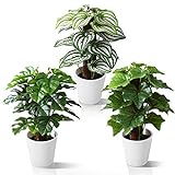 Kazeila Mini Indoor-Topfpflanzen,24 cm Kunstplastik-Kunstpflanze für dekoratives Haus / Büro / Schreibtisch (3 Pack)