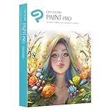 Clip Studio Paint Pro - Version 1