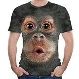 Routinfly Männer Frühling Sommer 3D Print Oansatz Kurzarm, T Shirt Tops Bluse 3D Gedruckt Tier AFFE T-Shirt Kurzarm Lustige Design Casual Tops Tees Männlichen
