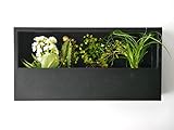Casaflora Wand-Pflanzkasten Linea, schwarz 40x9x20