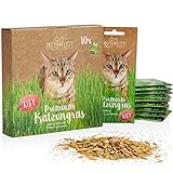 PRETTY KITTY Premium Katzengras Saatmischung: 10 Beutel je 25g Katzengras Samen für 100 Töpfe fertiges Katzengras – Eine grüne Katzen Wiese – Natürliche Katzen Leckerlies – Pflanzen Samen - Grassamen