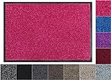 Jan Max Schmutzfangmatte - 8 Farben - Fußmatte mit 2900g/m2 PP Twisted Heatset Faser - 2,4l/m2 Feuchtigkeitsaufnahme - Sauberlaufmatte 60 x 90 cm Pink