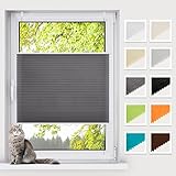BelleMax Plissee ohne Bohren Klemmfix, Anthrazit 40x130cm (BxH), Easyfix lichtdurchlässig Sichtschutz Sonnenschutz, Jalousie Plisseerollo mit Klemmträger, Faltrollo für Fenster & Tür…