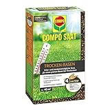 COMPO SAAT Trocken-Rasen, Hitze- und trockenverträgliche Rasensamen / Grassamen für trockene und sonnige Standorte, 1 kg, 40 m²