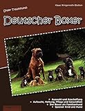 Unser Traumhund: Deutscher Boxer