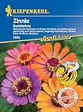 Kiepenkerl Profi-Line Zinniensamen Bumblebee 3966 – Blütenreich - Für Beete und Kübel - Schnittblume - Blumensamen, Saatgut, Pflanze, Blumenwiese S