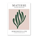 HEARSO Matisse Nordic Wandkunst Minimalistische Poster und Drucke Abstrakte grüne Koralle Leinwand Gemälde Retro-Bilder für Wohnzimmer Dekor 50x70cmx1 Kein Rahmen