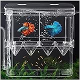 Goldmiky Fischzuchtbox,Aufzuchtbehälter,Transparent Zucht Tanks,Isolationsbrutkasten/Baby-Fischbrut/Fry Breeder Box für Guppy, Tropische Fische, schwimmende Fisch Inkubator Tank Teiler (Groß)