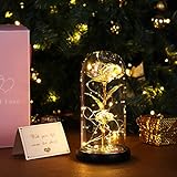 Luxspire Ewige Rose im Glas mit LED Licht, Konservierte Rose in Glaskuppel Die Schöne und das Biest Rose Romantisches Geschenk zum Geburtstag Hochzeit Valentinstag Muttertag Weihnachtsdeko, Bunt