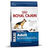 Royal Canin – Maxi Trockenfutter für ausgewachsene Hunde, für große Hunde (26 bis 45 kg) im Alter von 15 Monaten bis 5 Jahre – 15 kg