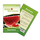 Wassermelonen Sugar Baby Samen - Citrullus lanatus - Wassermelonensamen - Obstsamen - Saatgut für 10 Pflanzen