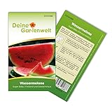 Wassermelonen Sugar Baby Samen - Citrullus lanatus - Wassermelonensamen - Obstsamen - Saatgut für 10