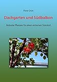 Dachgarten und Südbalkon: Robuste Pflanzen für einen extremen Standort