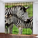 WDMXNZ Ösenvorhang B 234cm x H 138cm Zebra Blickdichte Gardinen Rollo verdunkelung Vorhang tür lärmschutzvorhang