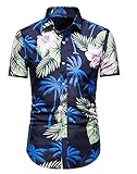 Henley Hemd Herren Sommer Hawaiianischer Stil Herren Shirt Mode Strickjacke Kurzarm Basic Slim Fit Stretch Casual Urlaub Herren Trachtenhemd H-DC41 S