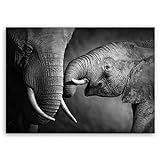 ge Bildet Bild auf Leinwand MIT Sommer RABATT Elefanten - schwarz weiß Tier Bilder - 70x50 cm einteilig - direkt vom Hersteller aus Deutschland
