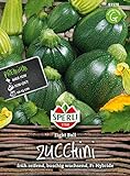 83578 Sperli Premium Zucchini Samen 8 Ball | Früh | Ertragreich | Runde Zucchini | Zuchini Saatgut | Zucchini Rund