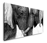 Paul Sinus Art Elefanten 120x 60cm Panorama Leinwand Bild XXL Format Wandbilder Wohnzimmer Wohnung Deko Kunstdrucke