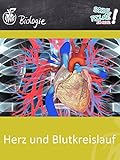 Herz und Blutkreislauf - Schulfilm Biologie
