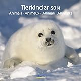 Tierkinder 2014. Broschürenkalender