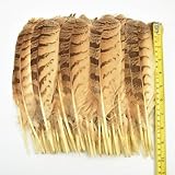 Stück/Lot seltene Eulenfedern zum Basteln, Adler, Vögel, Federn, Dekor, Sammeln, Vogel, Fasan, Karneval, Bastelzubehör, Dekoration, N